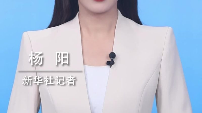 运维服务合同与SLA：本质区别与关键考量